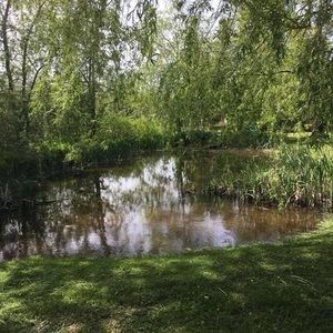 Meet your Posher, Margaret